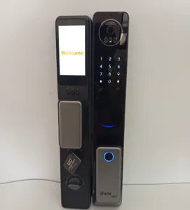 Wifi Tuya Video 3d Face Recognition Intelligent Smart Door Lock