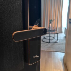 D-Key Pro C91 Golden Smart Lock - Image 2