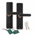 DKey -Pro C91 Golden smart Lock