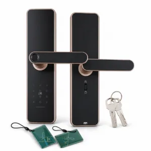 DKey -Pro C91 Golden smart Lock