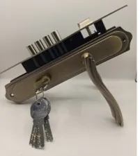 301 FEALTY LOCK